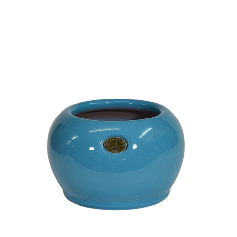 Puku Pot Persian Blue