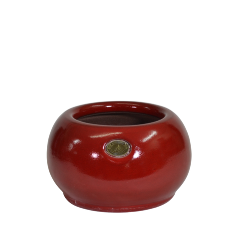 Puku Pot Hollyberry