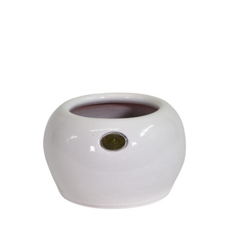 Puku Pot Gloss White