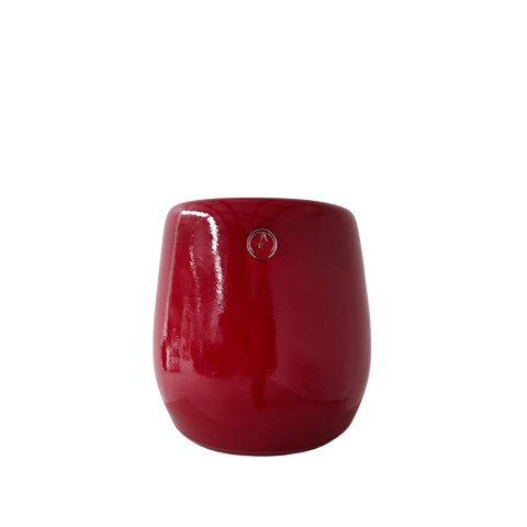 Tulip Pot Hollyberry