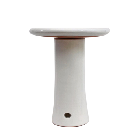 Bird Bath Gloss White