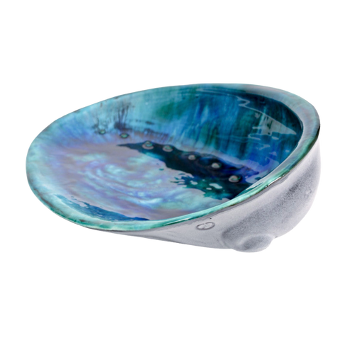 Paua Shell