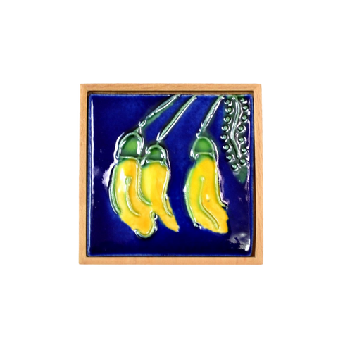 Native Flora Kowhai Icon