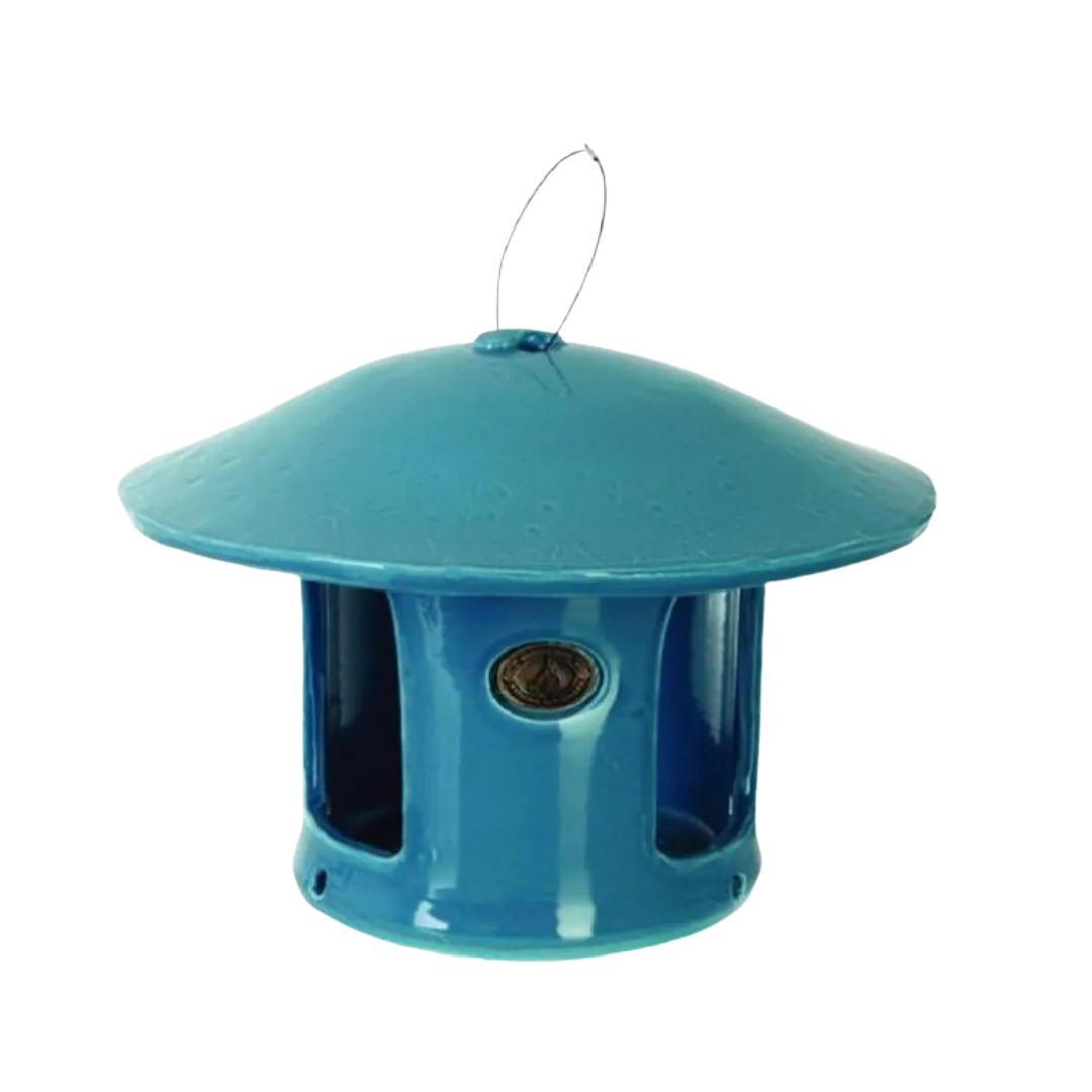 Bird House & Feeder