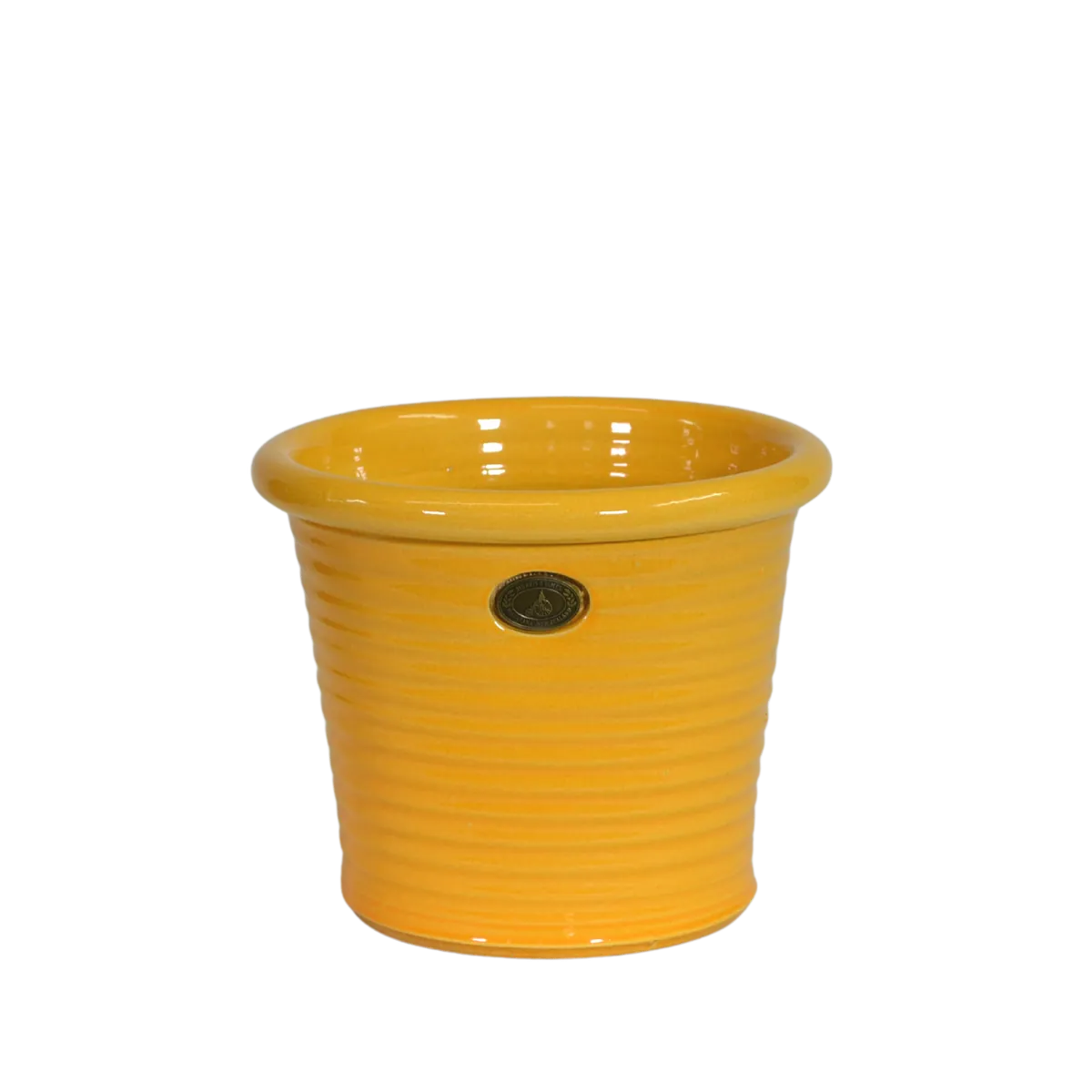 Italian Tub Sunflower