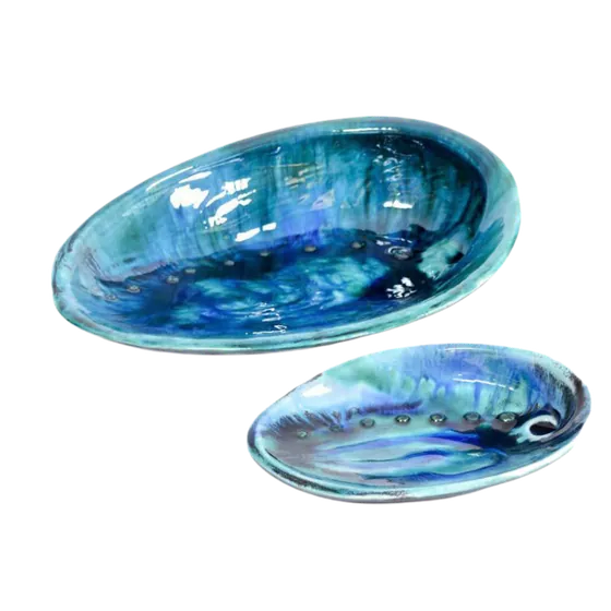 Paua Shell