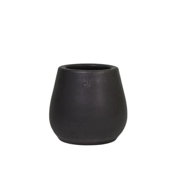 Tulip Pot Heavy Metal