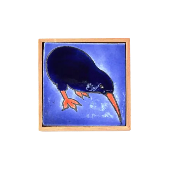 Native Bird Kiwi Icon