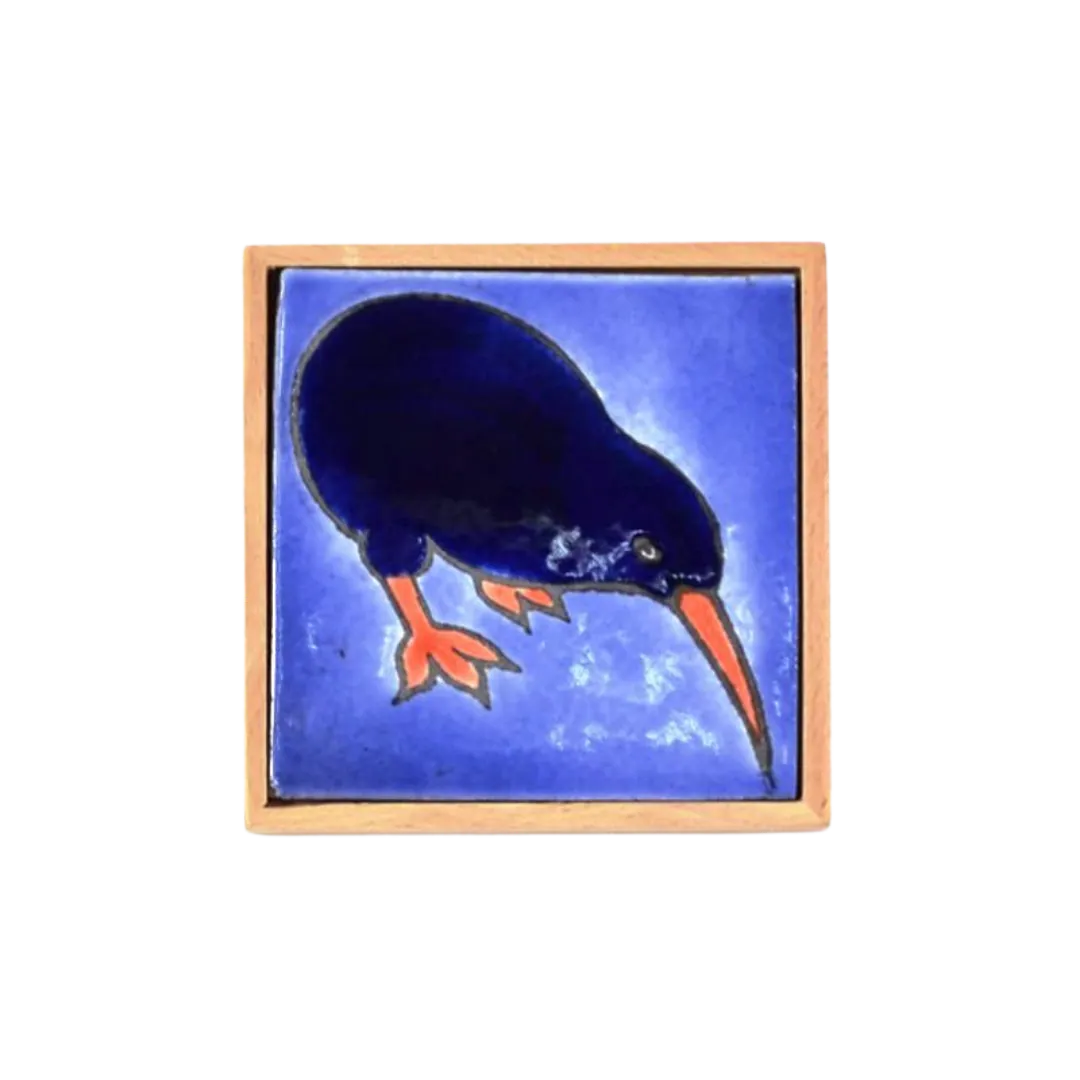 Native Bird Kiwi Icon