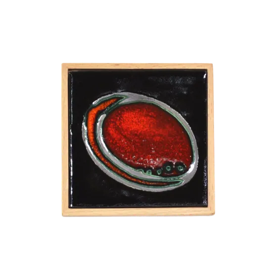 Aquatic Paua Icon