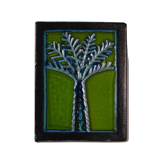 Green Ponga Vignette