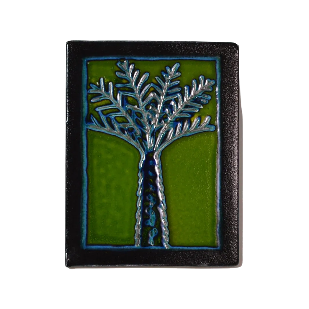 Green Ponga Vignette
