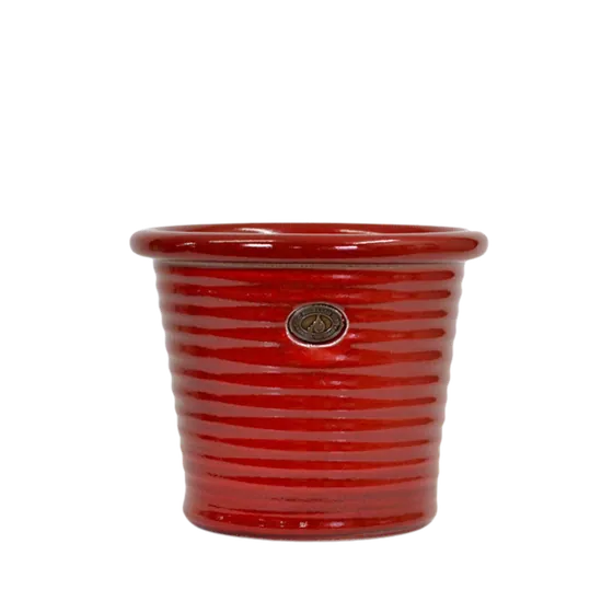 Italian Tub Hollyberry