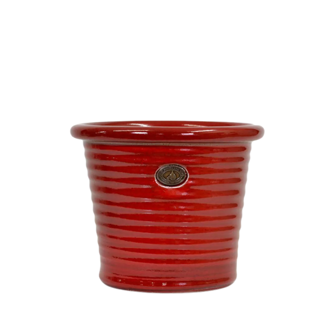 Italian Tub Hollyberry