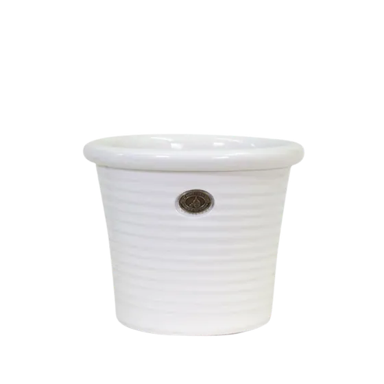 Italian Tub Gloss White