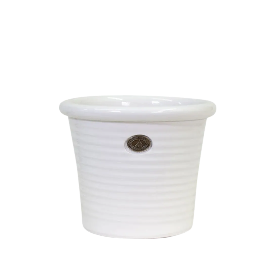Italian Tub Gloss White