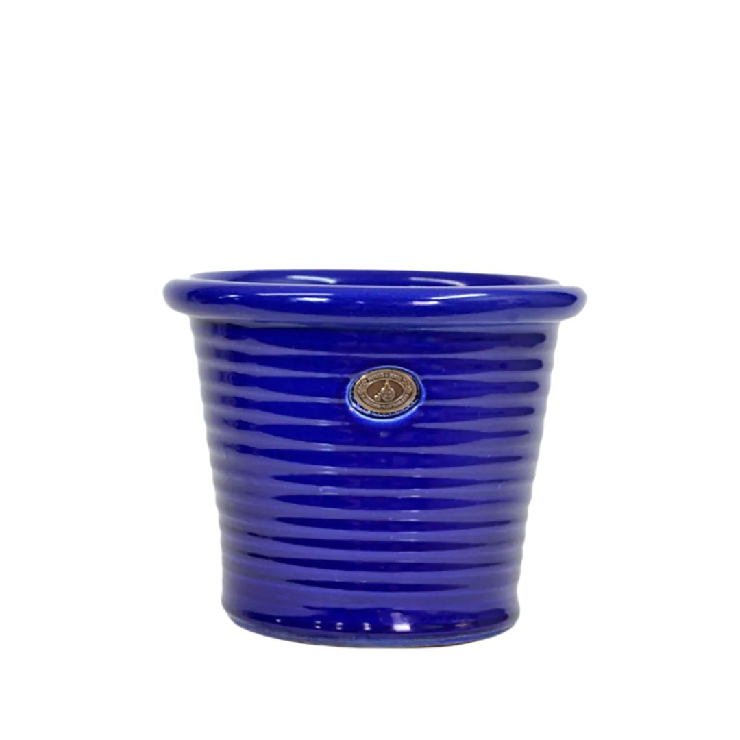 Italian Tub Royal Blue