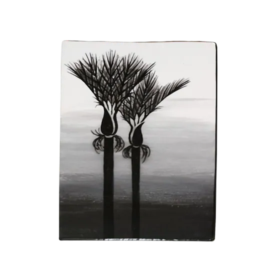 Māhanga Vignette Nikau