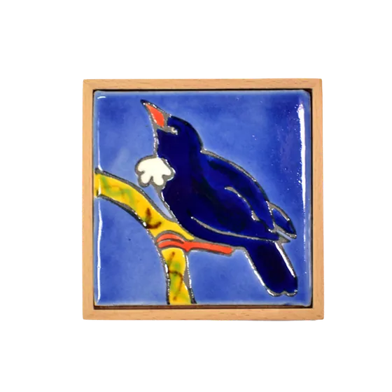 Native Bird Tui Icon