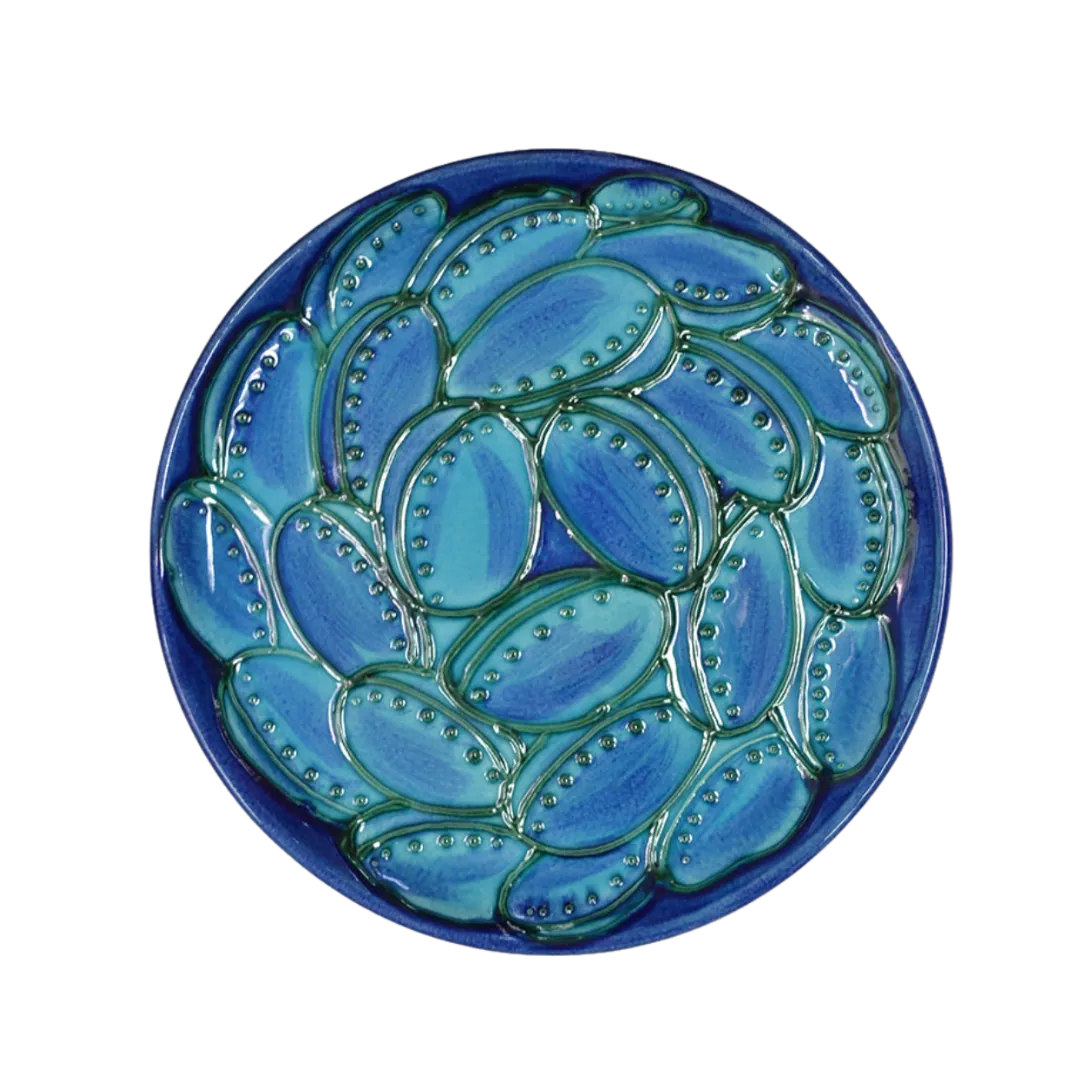 Paua Shell Platter
