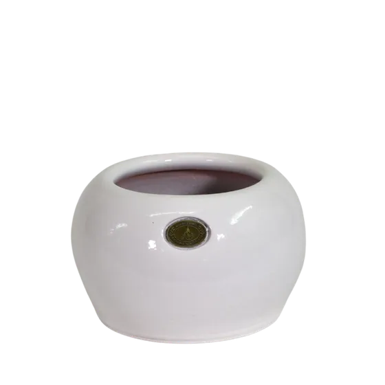 Puku Pot Gloss White