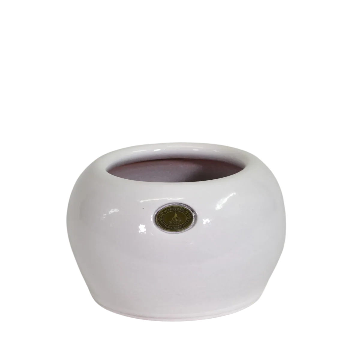 Puku Pot Gloss White