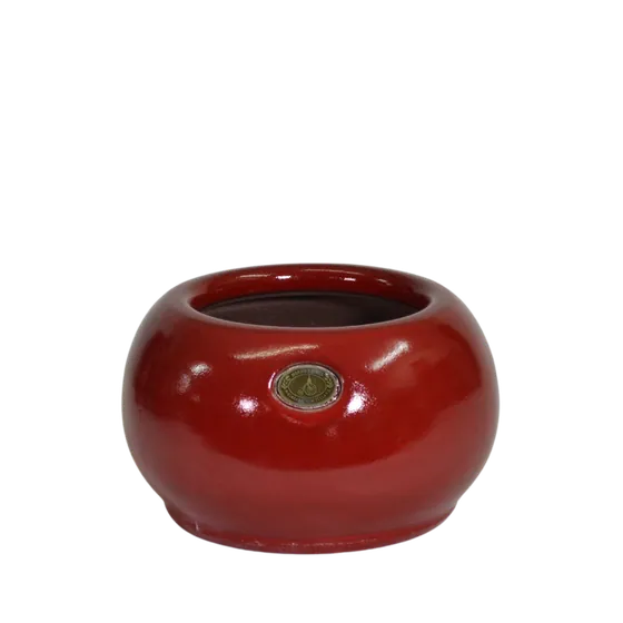 Puku Pot Hollyberry