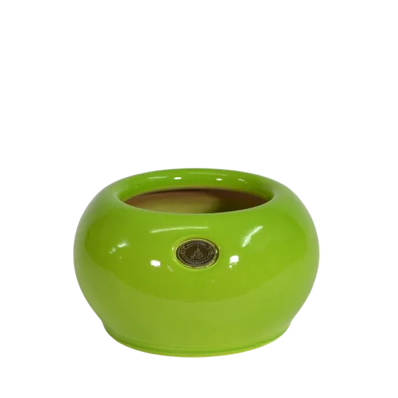 Puku Pot Sorbet