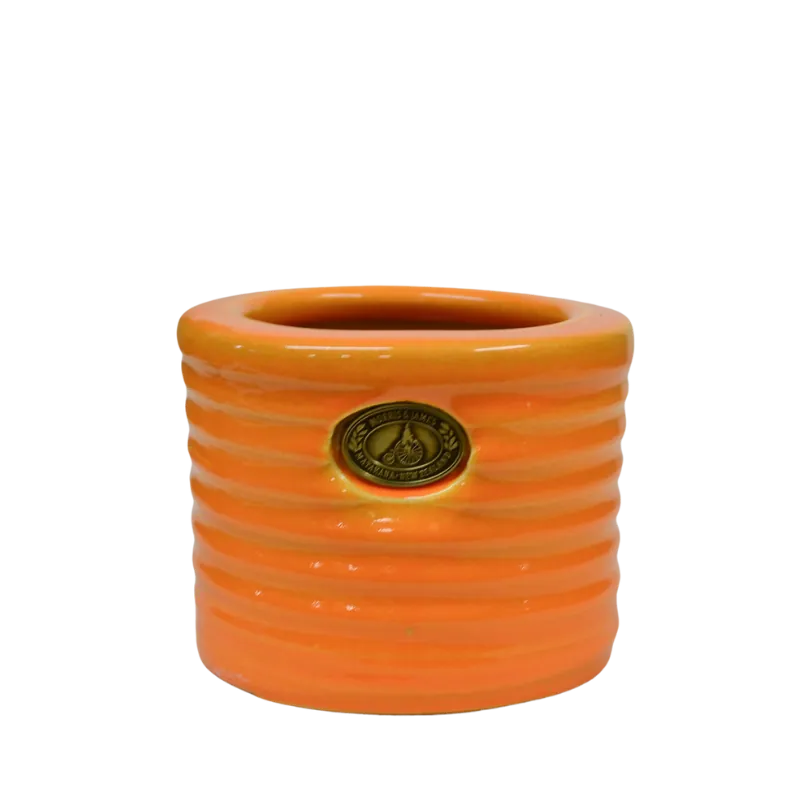 Racine Pot Sunflower