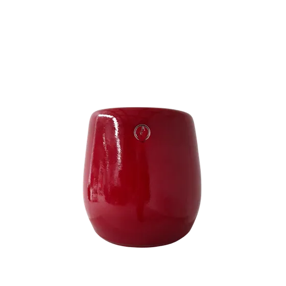 Tulip Pot Hollyberry