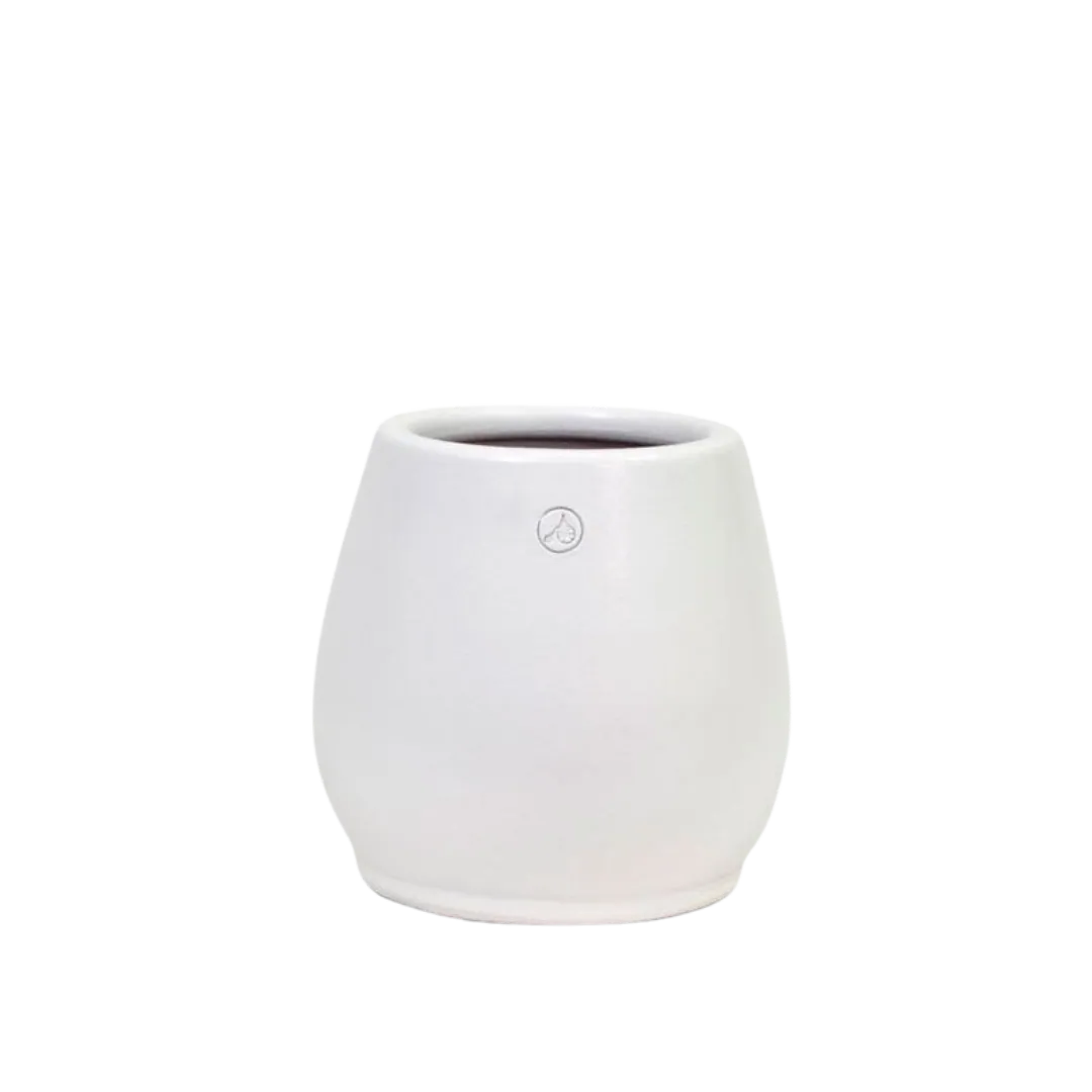 Tulip Pot White Gloss with Sand