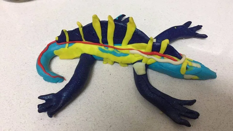 A clay tuatara made in a Klay Master workshop