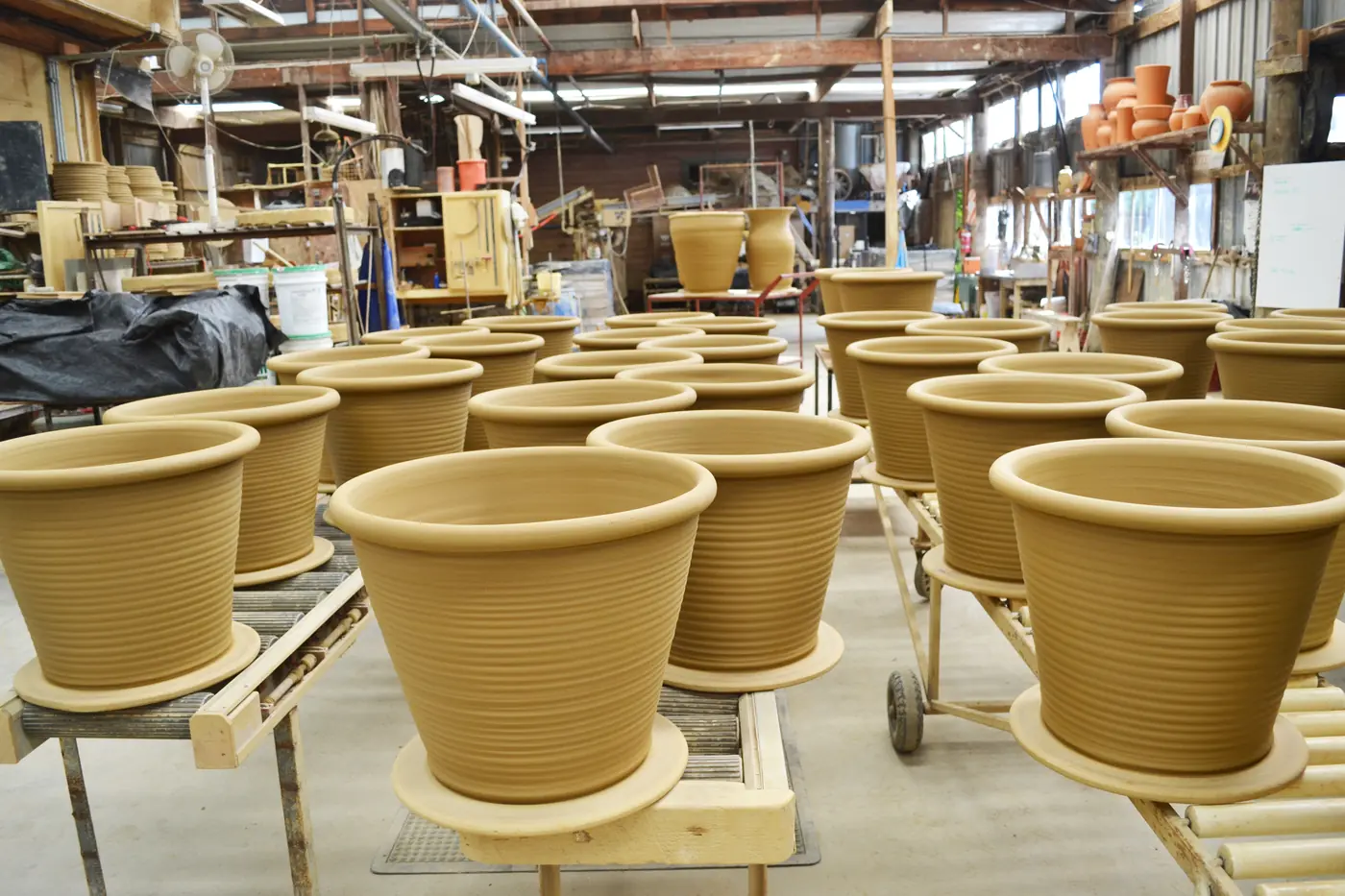 Drying in the workshop before the Summer Room