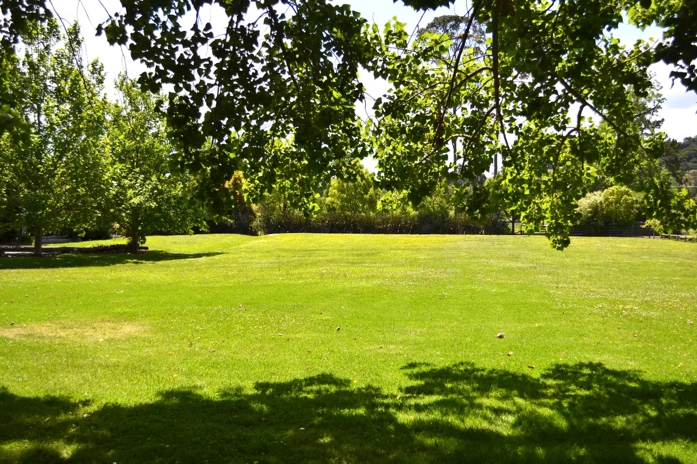 The large lawn: picnics welcome