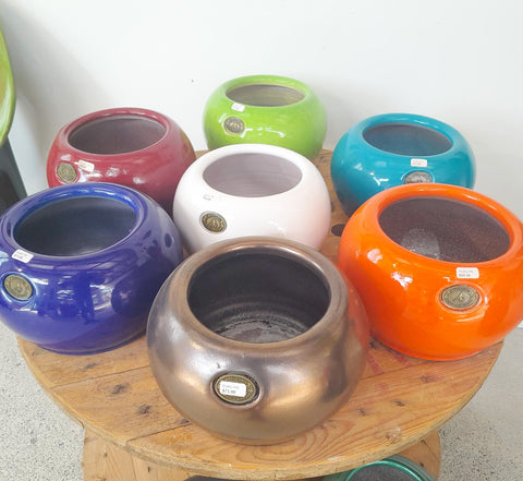 Assorted Puku Pots from $73