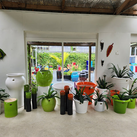 Contemporary display featuring XL statement pots - enquire for individual prices