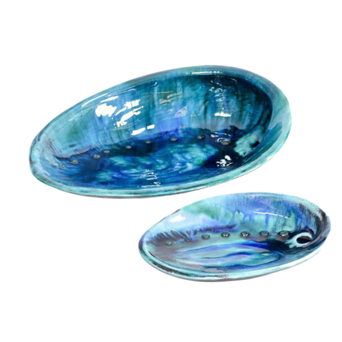 Paua Shell