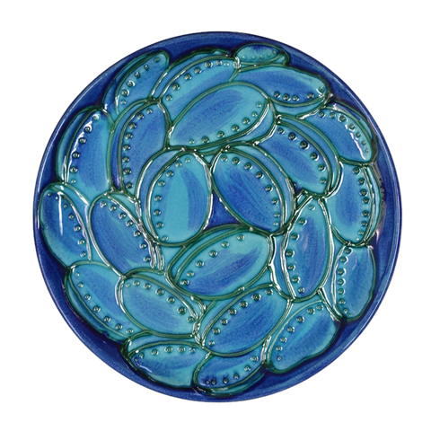 Paua Shell Platter