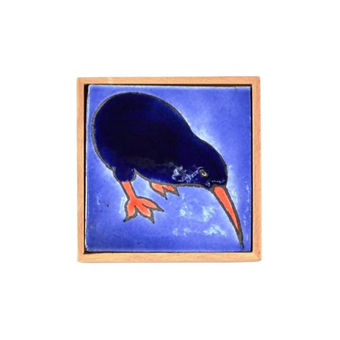 Native Bird Kiwi Icon